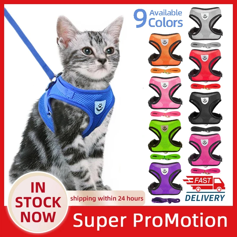 Cat Collars and Harness