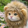 New Cute Funny Pets Clothes Cap Cute Cat Wig Lion ...