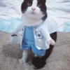 Pet Halloween Costume Funny Dog Cat Doctor Costume...