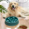 Pet Dog Slow Feeder Bowl Puppy Non Slip Puzzle Bow...